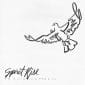 Spirit Rise - Travis Cottrell